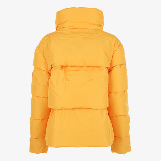 Mont Jacheta Anarchy