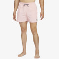 Nike Pantaloni scurti 5