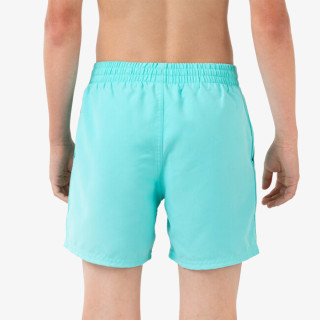 Nike Pantaloni scurti 4