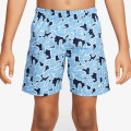 Nike Pantaloni scurti 5