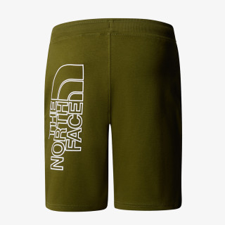 The North face Pantaloni scurti M GRAPHIC SHORT LIGHT-EU 