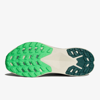 The North face Pantofi Sport Men’s Altamesa 300 