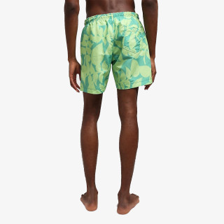 Napapijri Pantaloni scurti V-VAIL GREEN AOP F9I 