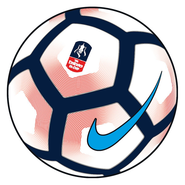 Nike Minge NIKE PITCH-FA CUP 