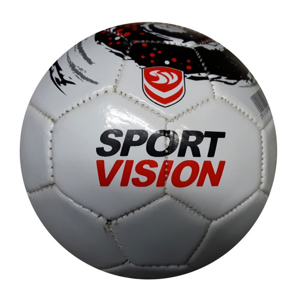 Sport Vision Minge SKIL BALL SIZE 2 