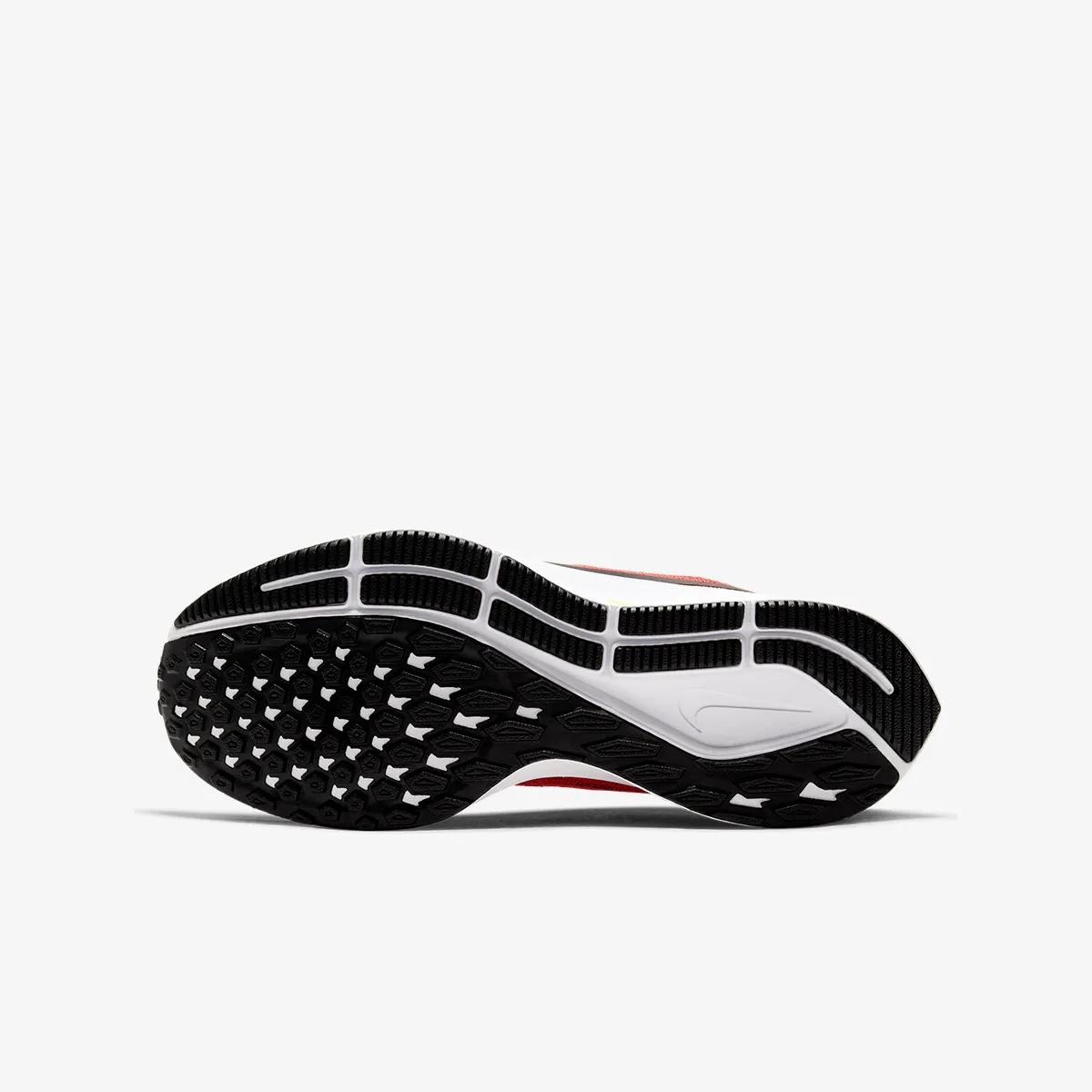Nike Pantofi Sport NIKE AIR ZOOM PEGASUS 36 GS 