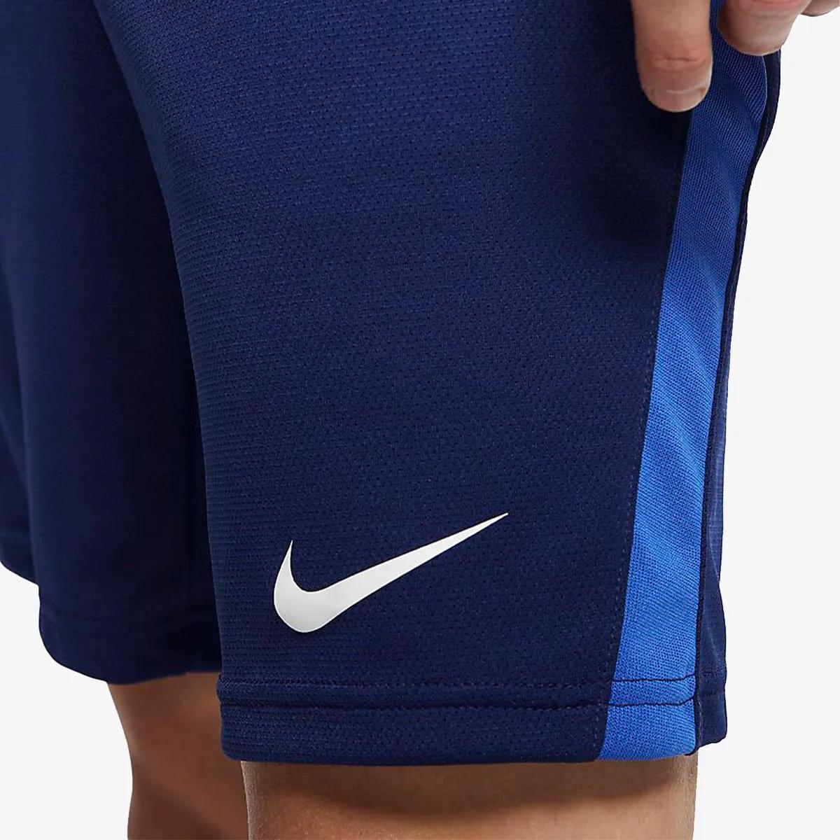 Nike Pantaloni scurti Dri-FIT 5.0 