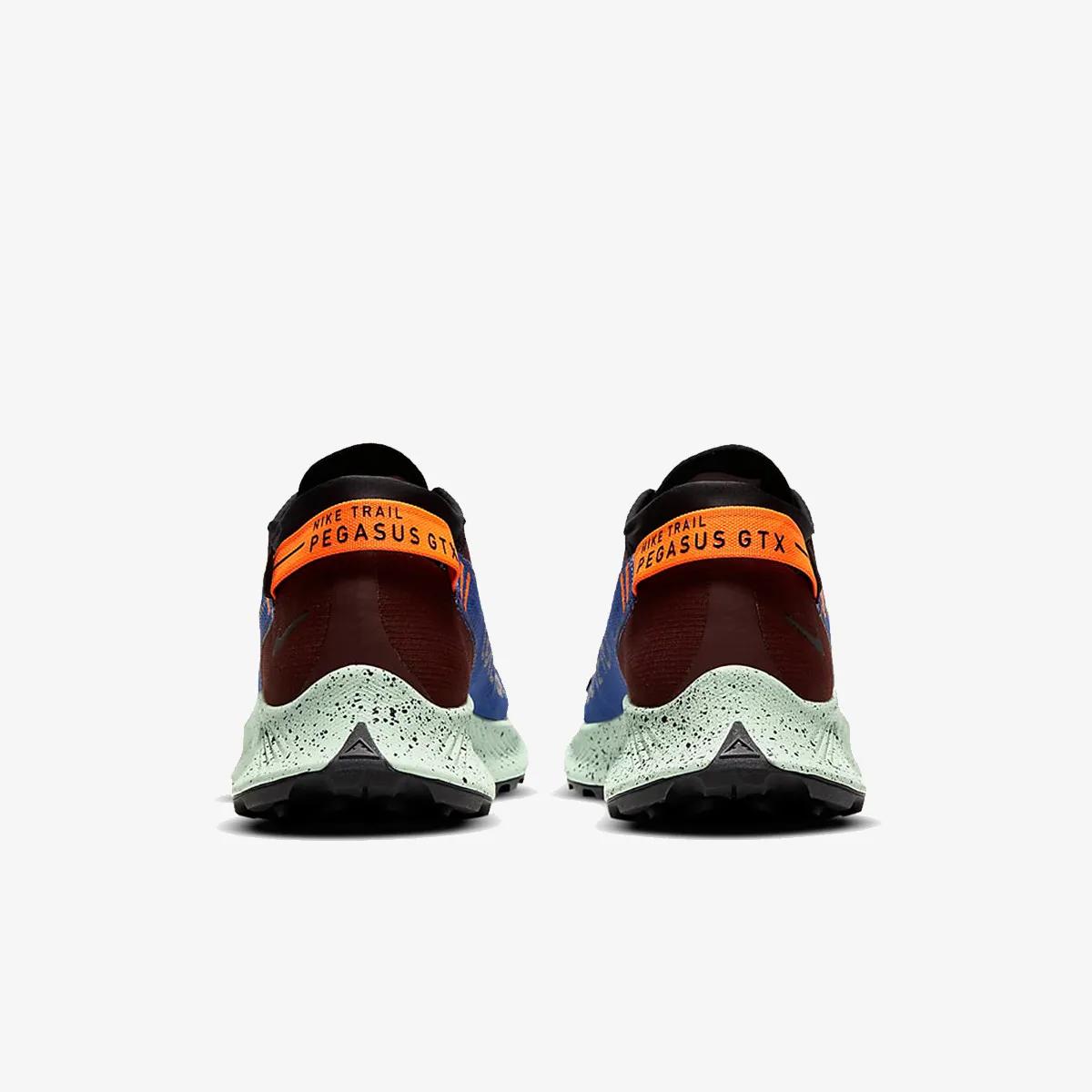 Nike Pantofi Sport NIKE PEGASUS TRAIL 2 GTX 