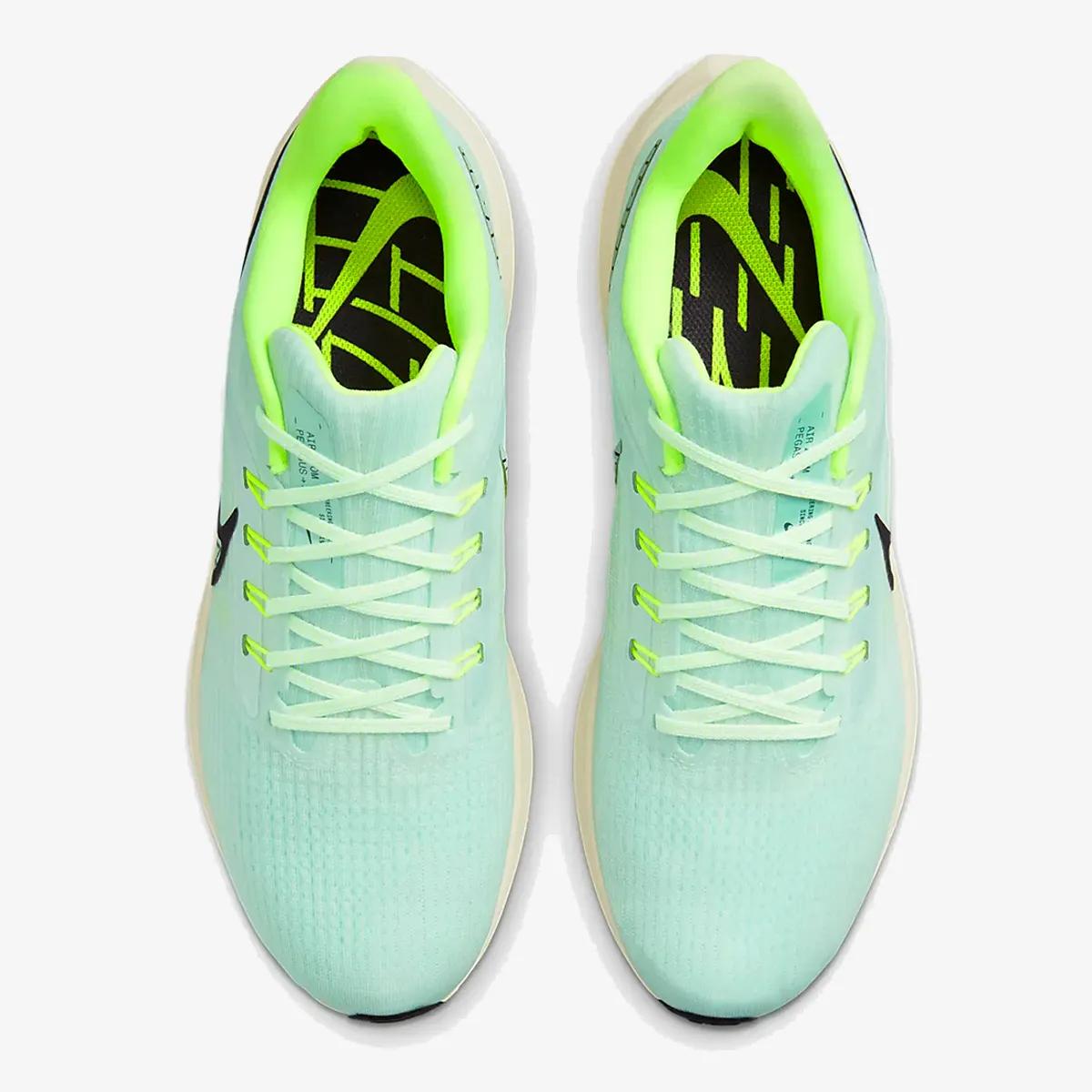 Nike Pantofi Sport NIKE AIR ZOOM PEGASUS 39 
