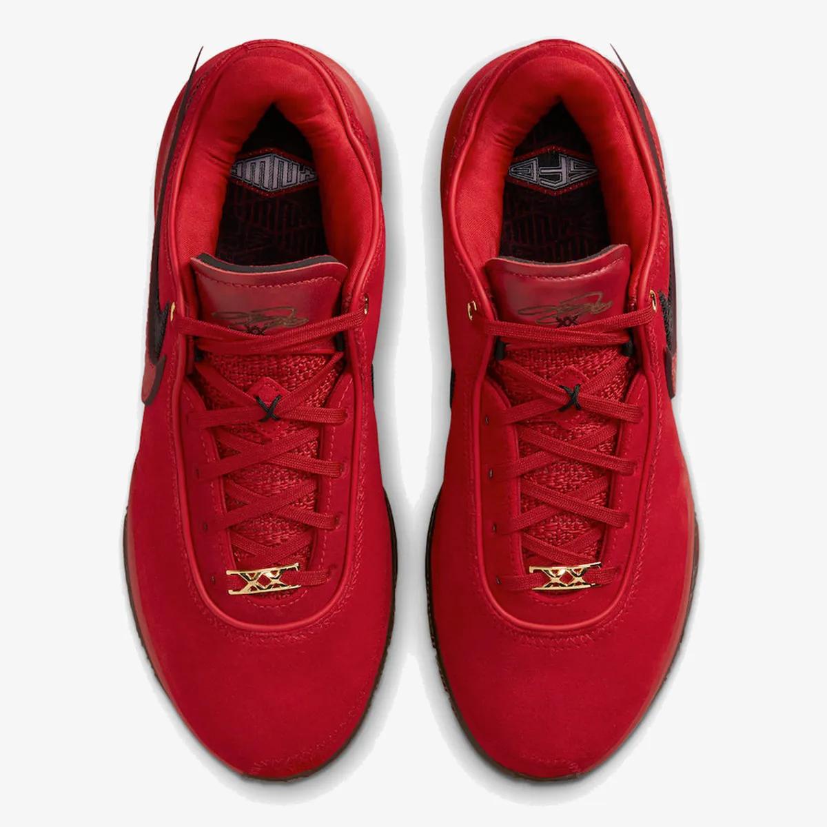 Nike Pantofi Sport LeBron XX 