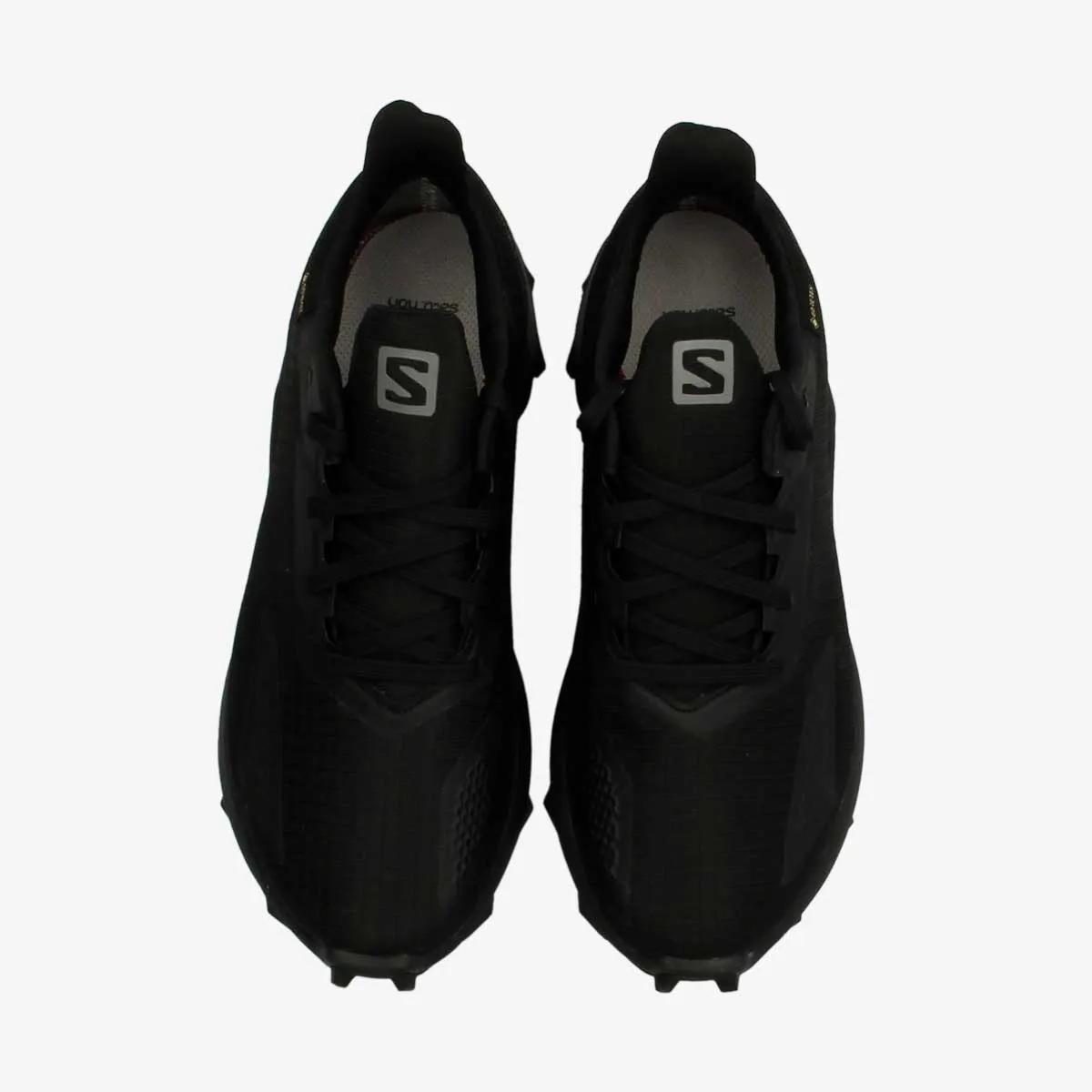 Salomon Pantofi Sport ALPHACROSS BLAST GTX W 