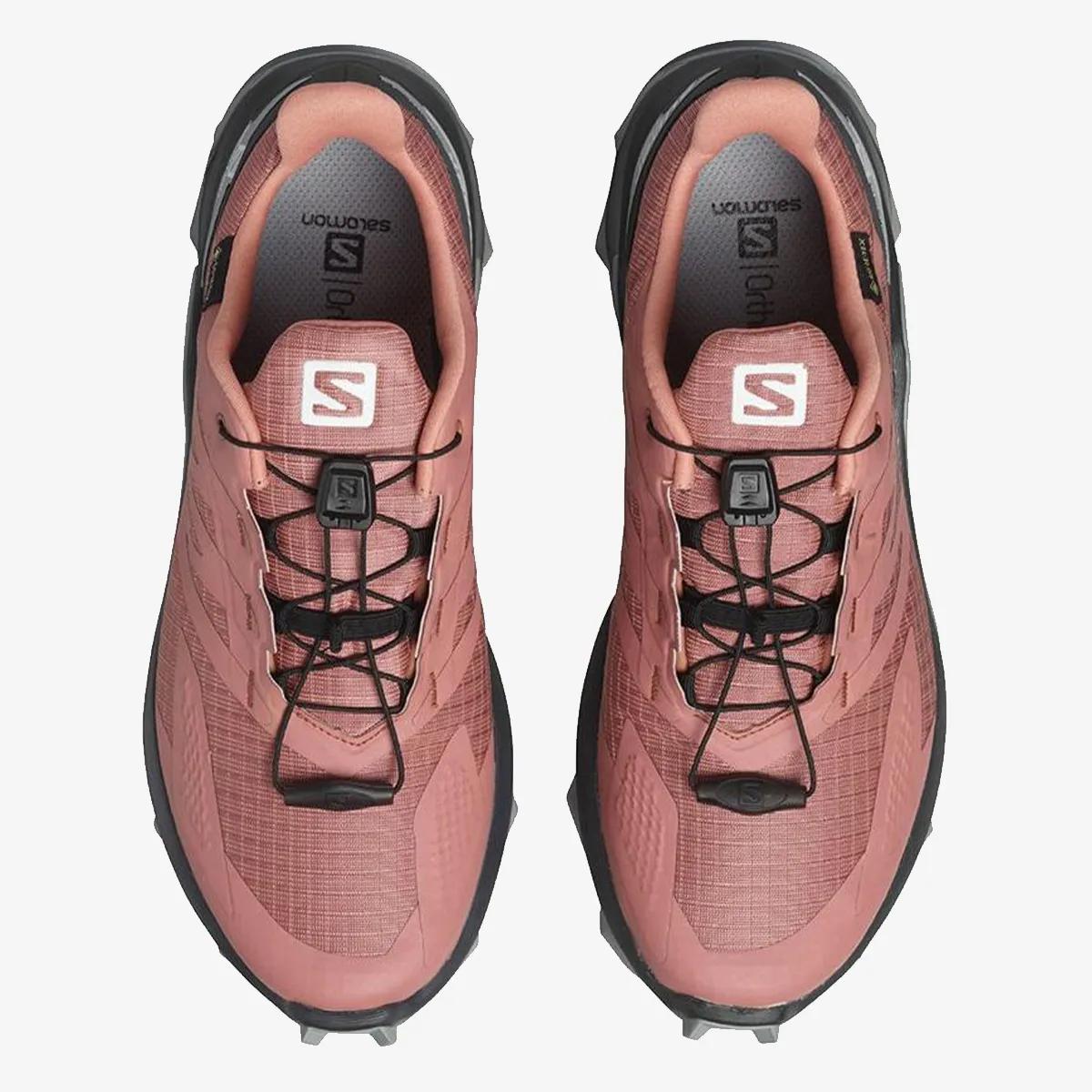 Salomon Pantofi Sport SUPERCROSS BLAST GTX W 